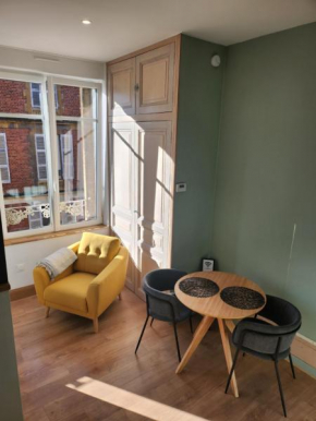 Studio centre ville avec Netflix et Canal plus - Parking gratuit à proximité